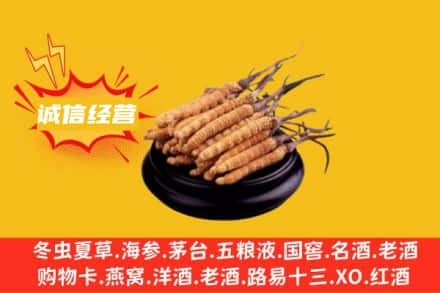 阳泉市盂县回收冬虫夏草